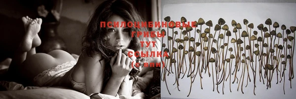 мяу мяу мука Заволжск