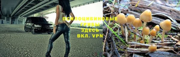 марки nbome Заводоуковск
