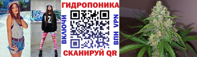 Купить  Клинцы  Бошки Шишки White Widow 